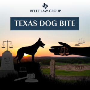 Dog Bite Attorney | Beltz Law Group Dog Bite Attorney