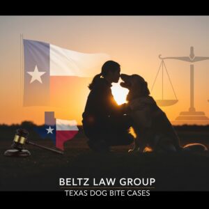 Dog Bite Attorney North Texas