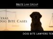 Dog Bite Lawyer