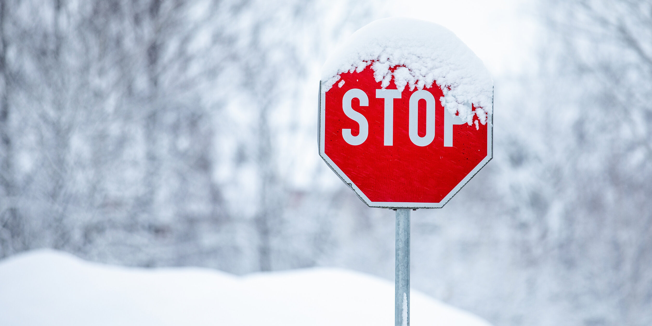 Lawyer for Ran Stop Sign Lawyer for Ran Stop Sign